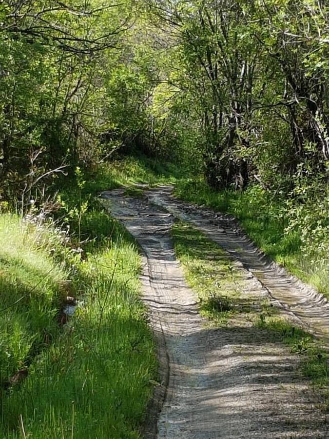 La Posada De Horcajuelo Оркахуэло-де-ла-Сьерра Экстерьер фото