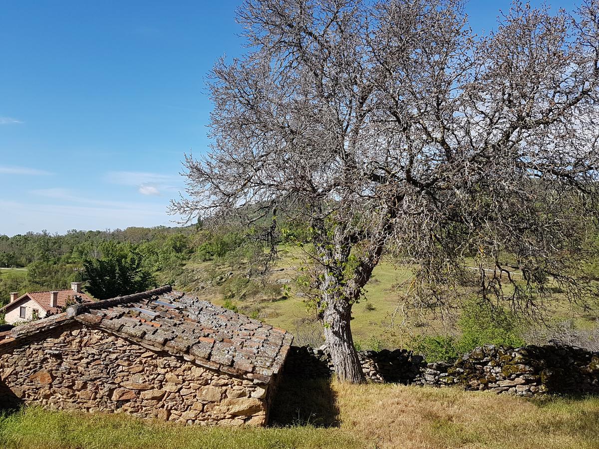 La Posada De Horcajuelo Оркахуэло-де-ла-Сьерра Экстерьер фото